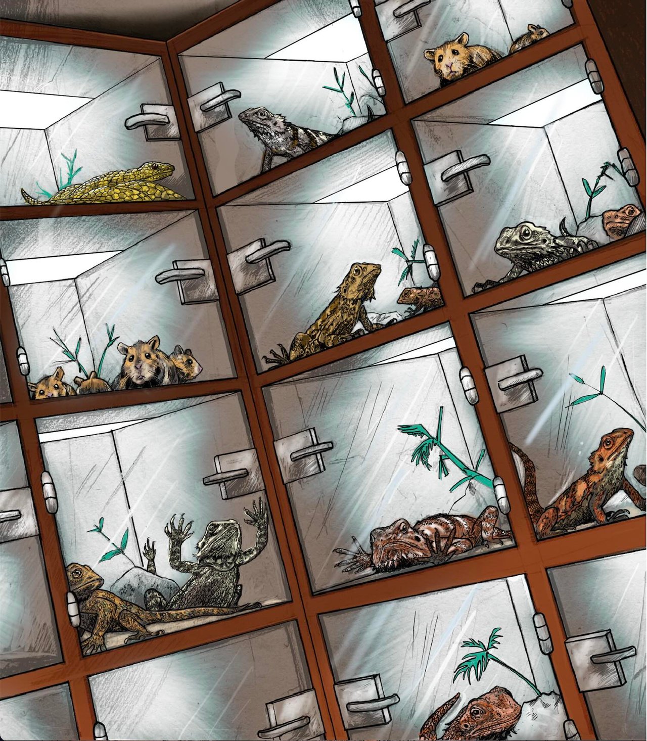 Illustration of Bea in crowded tanks at a pet store.